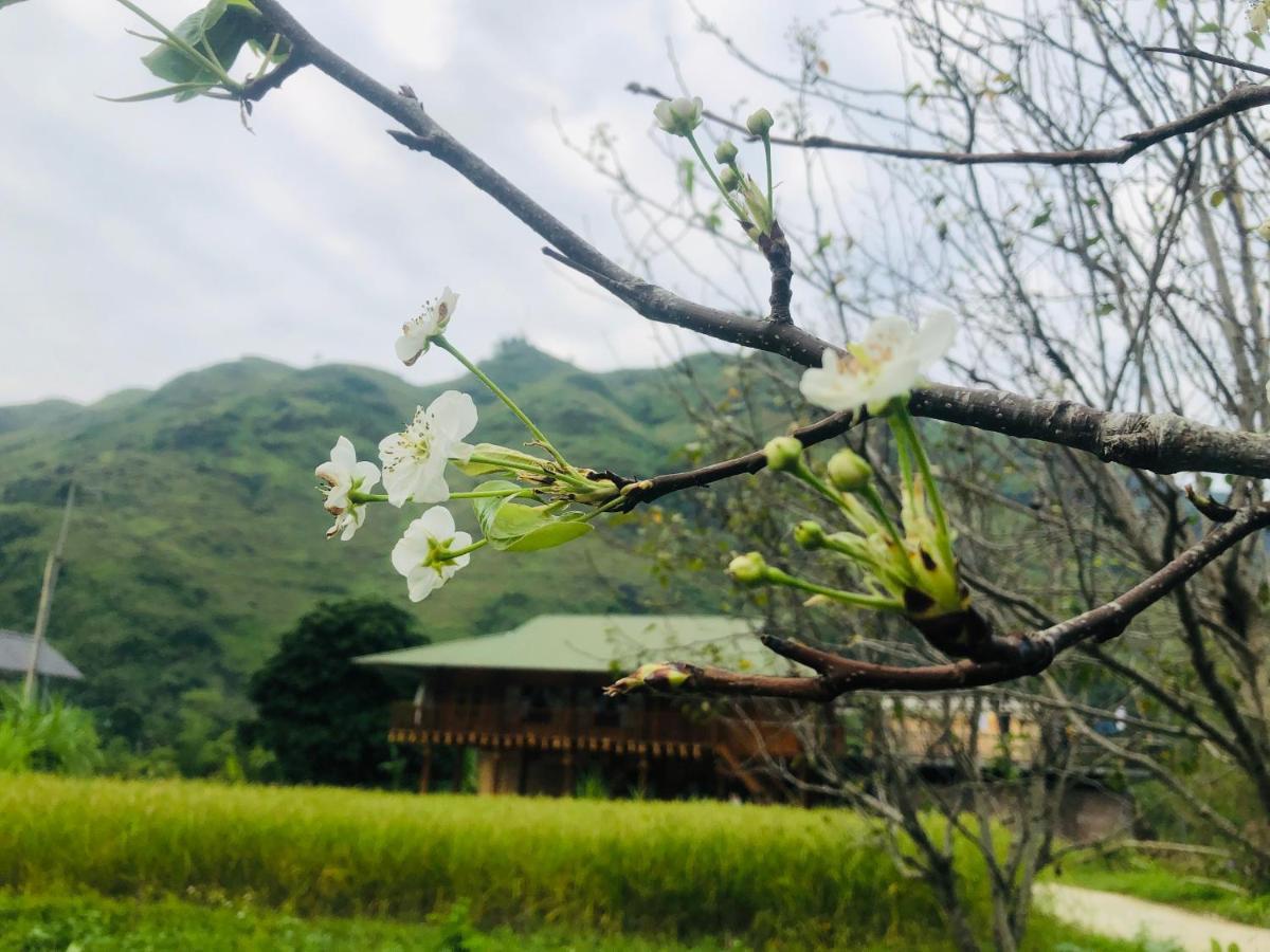 Wild Orchid- Lan Home Làng Cac Dış mekan fotoğraf