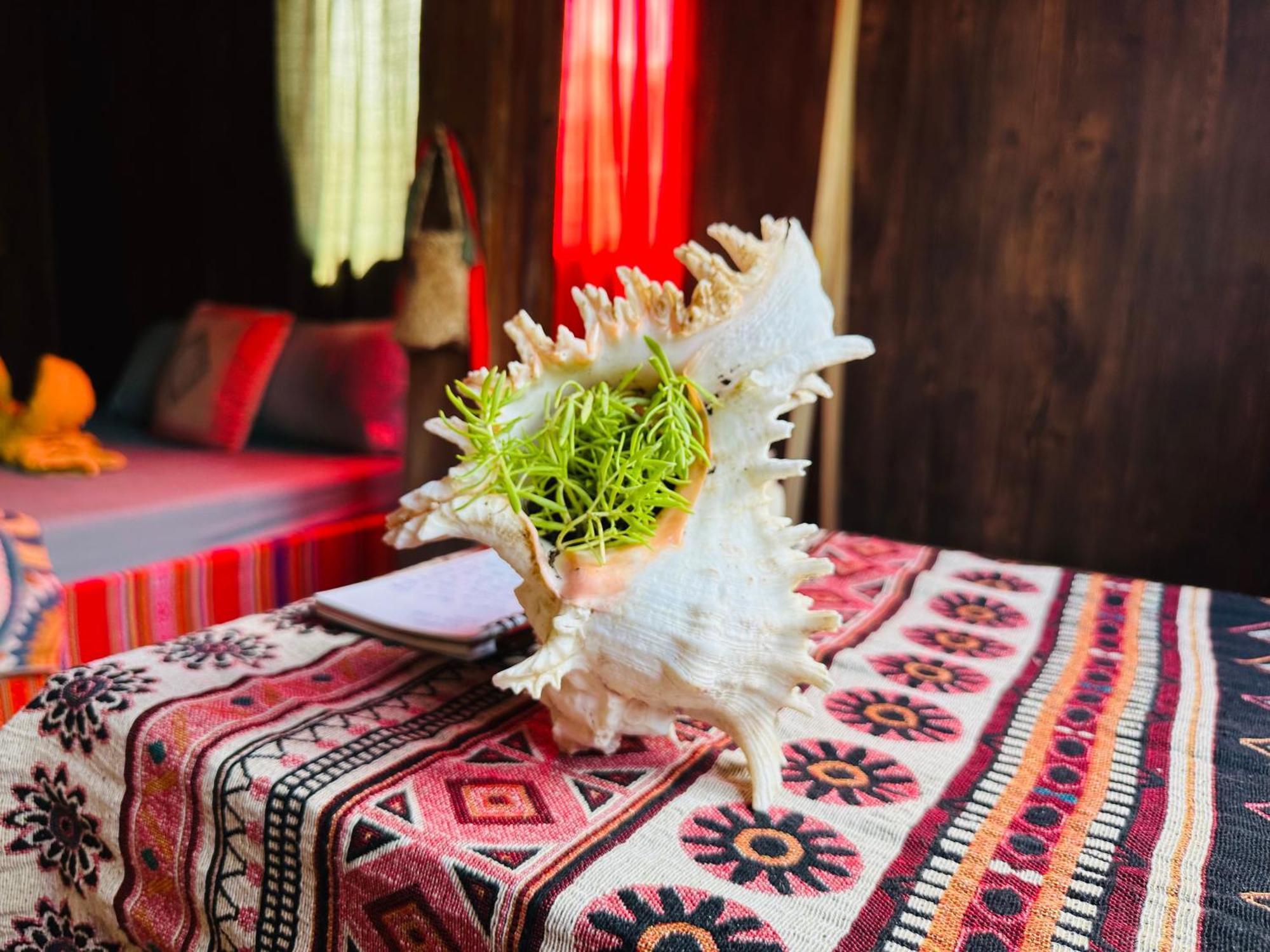 Wild Orchid- Lan Home Làng Cac Dış mekan fotoğraf